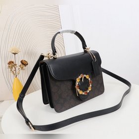 Модель Coach в максимальной комплектац