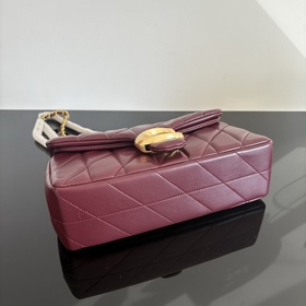 Последний выпуск модели Coach в полной