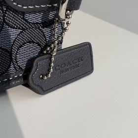 Модель COACH высшего качества в полной