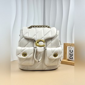 Coach в максимальной комплектации с по