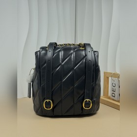 Последние модели Coach в полной фирмен