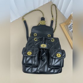 Последние модели Coach в полной фирмен