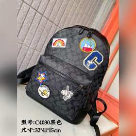 Коуч (COACH) — модель высшего класса в