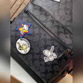 Коуч (COACH) — модель высшего класса в