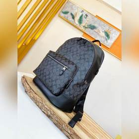 Коуч (COACH) — модель высшего класса в