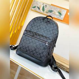 Коуч (COACH) — модель высшего класса в