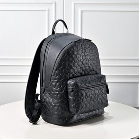 Модель COACH высшей серии в полной фир