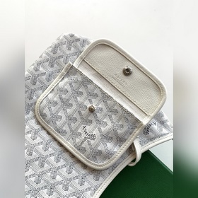 Мировая премьера модели Goyard mini ho