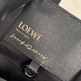Новая модель сумки Loewe Hammock в све