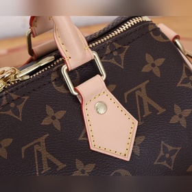 Сумка Speedy 25 из коллекции «Top-tier