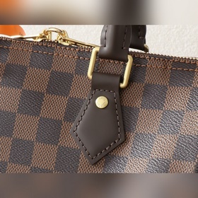 [163C01] Сумка из серии Speedy, изгот