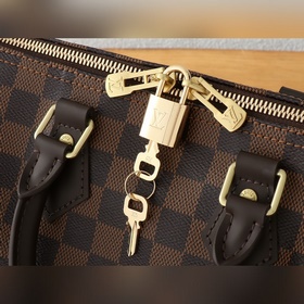 [163C01] Сумка из серии Speedy, изгот