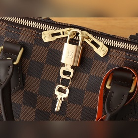 [163C01] Сумки серии Speedy , изготов