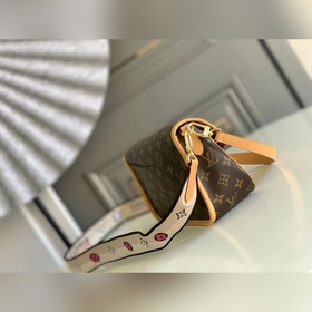 M45985 Сумка DIANE из серии подержанны