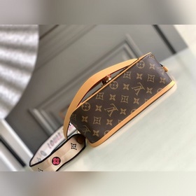 M45985 Сумка DIANE из серии подержанны