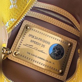 163c Dynamic Chip： эксклюзивные реальн