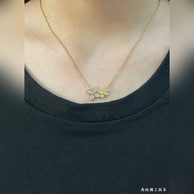 L0156 LV： Колье с двумя цветамиз позол
