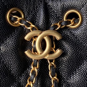 CHANEL 25C — модель с подиума, сумка H