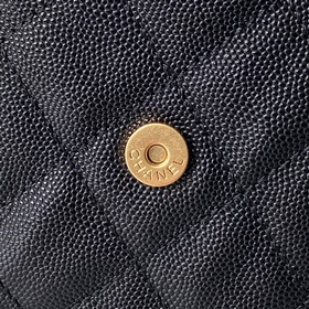 CHANEL 25C — модель с подиума, сумка H