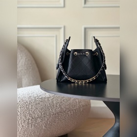 CHANEL 25BAG MINI 26C Hobo Mini, черн