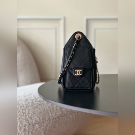 CHANEL 25BAG MINI 26C Hobo Mini, черн