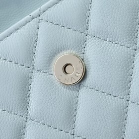 Предварительная коллекция Chanel 25 ве