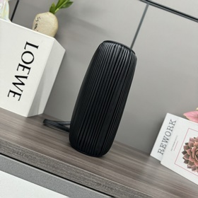 Loewe  Новая модель： маленькая сумка-