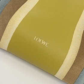Новая версия сумки Loewe Flamenco Land