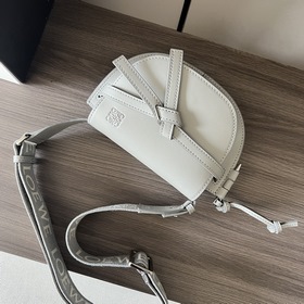Сумка Loewe Gate Dual в новом цвете m