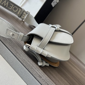 Сумка Loewe Gate Dual в новом цвете m