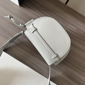 Сумка Loewe Gate Dual в новом цвете m