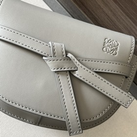 Сумка Loewe Gate Dual в новом цвете m