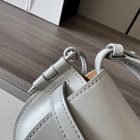 Сумка Loewe Gate Dual в новом цвете m