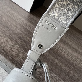 Сумка Loewe Gate Dual в новом цвете m