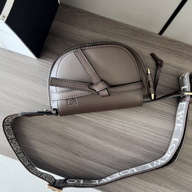 Сумка Loewe Gate Dual в новом цвете (ш