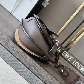 Сумка Loewe Gate Dual в новом цвете (ш