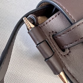 Сумка Loewe Gate Dual в новом цвете (ш