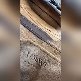Сумка Loewe Gate Dual в новом цвете (ш