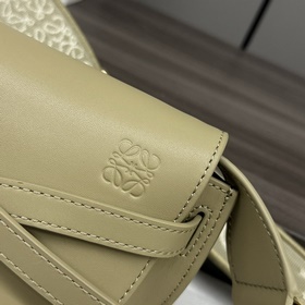 Сумка Loewe Gate Dual в новом цвете m