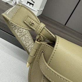 Сумка Loewe Gate Dual в новом цвете m