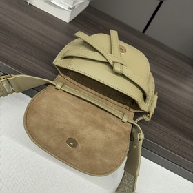 Сумка Loewe Gate Dual в новом цвете m