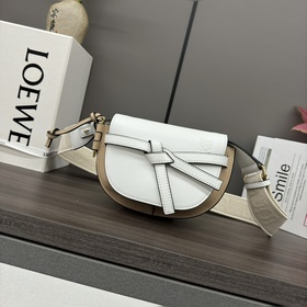 Сумка Loewe Gate Dual в новом цвете m