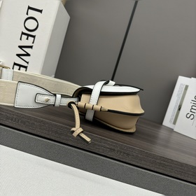 Сумка Loewe Gate Dual в новом цвете m