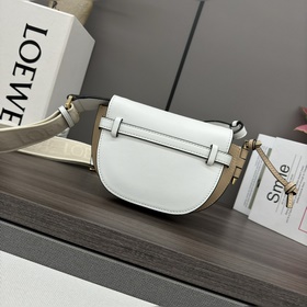 Сумка Loewe Gate Dual в новом цвете m