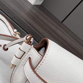 Новая версия сумки Loewe Gate Dual (но