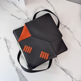 Новая модель сумки Loewe Fringe Cat Pu