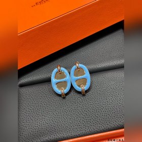 Серьги A1001 Hermès Mini Maillon синег