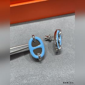 Серьги A1001 Hermès Mini Maillon синег