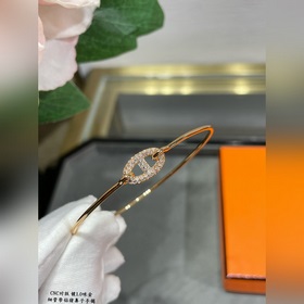 A110 Premium Edition, браслет Hermès с