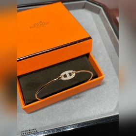 A110 Premium Edition, браслет Hermès с